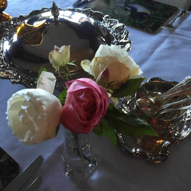 The Flying Trout Boutique Lodge Taupo Zewnętrze zdjęcie